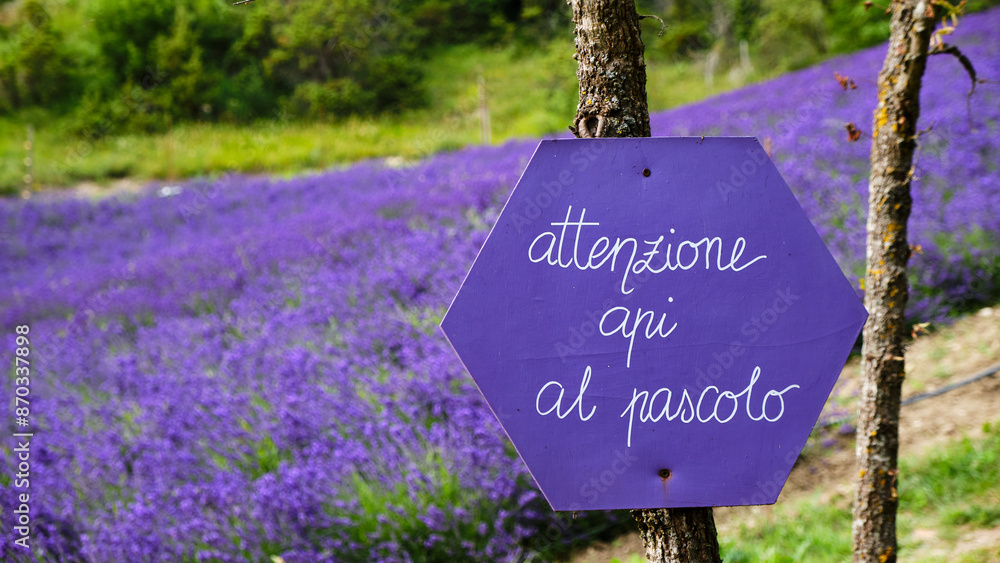 Foto scattata a Vendersi in Val Borbera. Il borgo famoso per gli spaventapasseri e per i campi di lavanda.