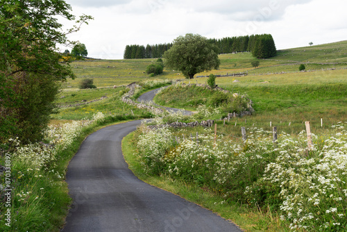 Petite route sinueuse en Aubrac, Lozère, France