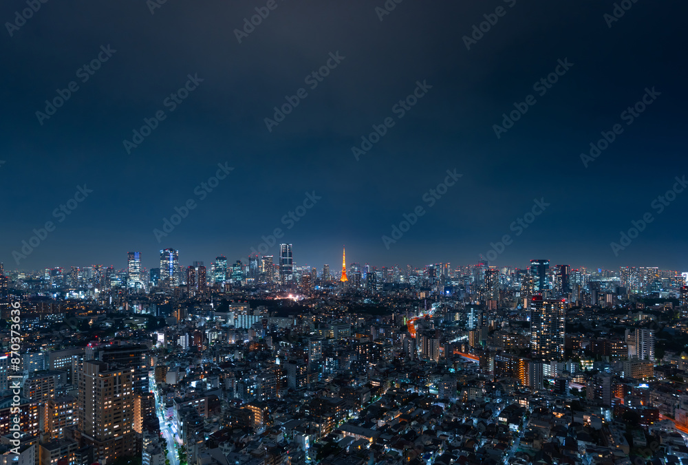 Fototapeta premium 東京風景・夜景
