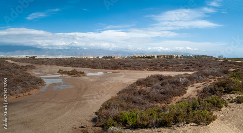 Paraje Natural Punta Entinas-Sabinar, catalogado como Espacio Natural Protegido. Roquetas de Mar, Almería, Andalucía, España.