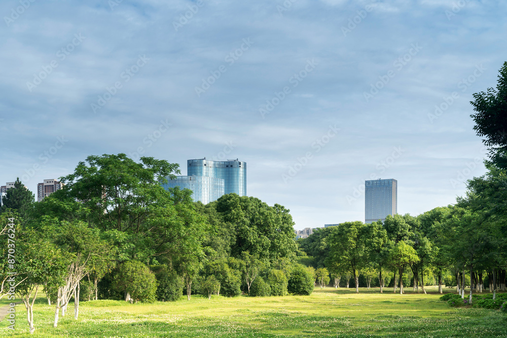 city park with modern building background in shanghai city park with modern building background in shanghai