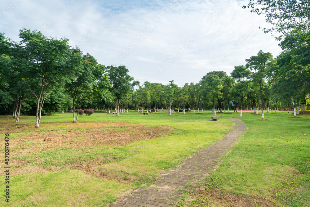 Obraz premium Beautiful panorama of green city park