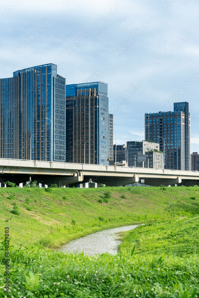 Obraz premium city park with modern building background in shanghai