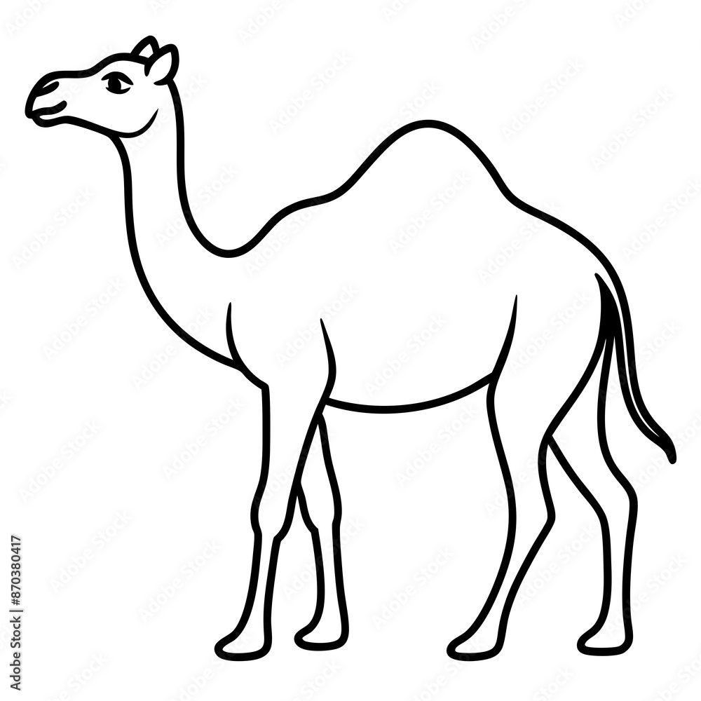 camel cartoon illustration camel cartoon illustration