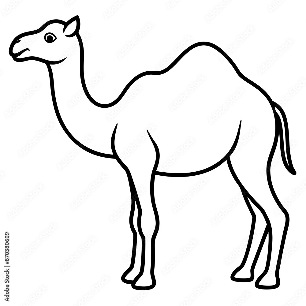 camel cartoon illustration camel cartoon illustration