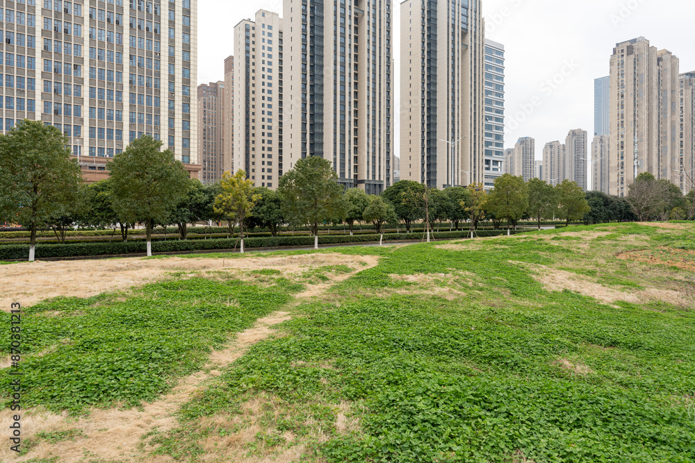 city park with modern building background in shanghai city park with modern building background in shanghai