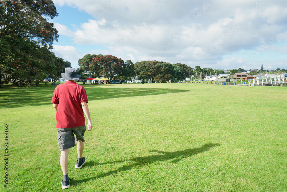 Man walking on the lawn of Milford Beach Reserve in summer. Tents and pop-up canopy under the Pohutukawa trees in bloom. Auckland. Man walking on the lawn of Milford Beach Reserve in summer. Tents and pop-up canopy under the Pohutukawa trees in bloom. Auckland.