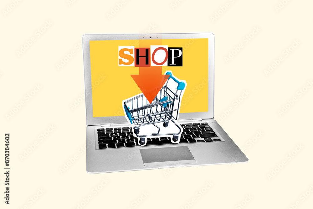 Composite photo collage of shopping trolley online shopping laptop device arrow offer bargain black friday isolated on painted background