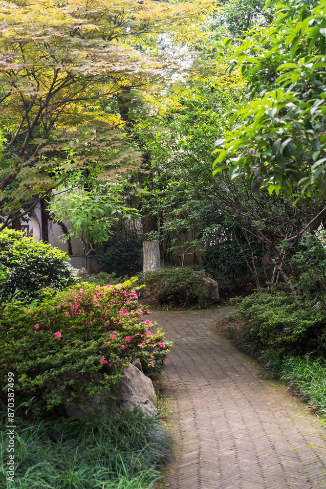 The road of City Park in China The road of City Park in China