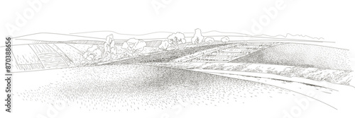 Vector sketch Green grass field on small hills. Meadow, alkali, lye, grassland, pommel, lea, pasturage, farm. Rural scenery landscape panorama of countryside pastures. Sketch line realistic illustrati
