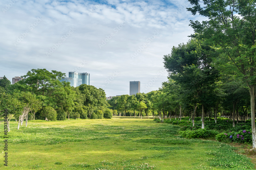 spring park and modern city spring park and modern city