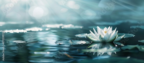 The serene pond features a beautiful white water lily lotus floating gracefully, creating a tranquil atmosphere with copy space image.