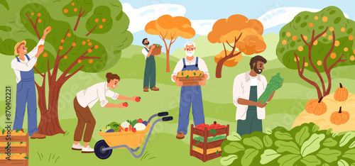 Happy farmers at harvest. Gardeners collect fruits. People pick berries. Agriculture workers growing vegetables. Garden crop. Person puts tomatoes in wheelbarrow. Garish vector concept