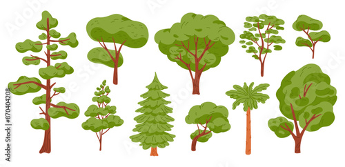 Cartoon trees. Different types of forest plants. Coniferous and deciduous. Summer pine. High oak. Low wood. Green crowns foliage. Landscape lush greenery. Botanical garish vector set