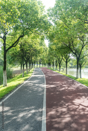 New pathway and beautiful trees track for running or walking and cycling relax in the park