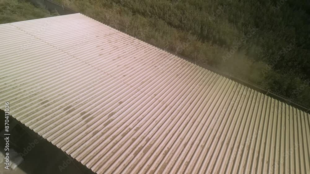 Dairy Farm aerial view. Corn silage packing. Feeding for cows Dairy Farm aerial view. Corn silage packing. Feeding for cows