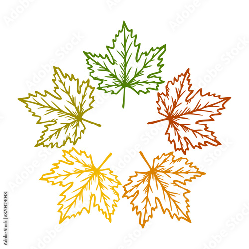 Logo con hojas de arce con línea exterior en paleta de gradiente de colores con forma de estrella. Cambio de temporada de otoño