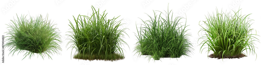 Lush Green Grass Clump Set, 3D Render Isolated on White Background, PNG File Lush Green Grass Clump Set, 3D Render Isolated on White Background, PNG File