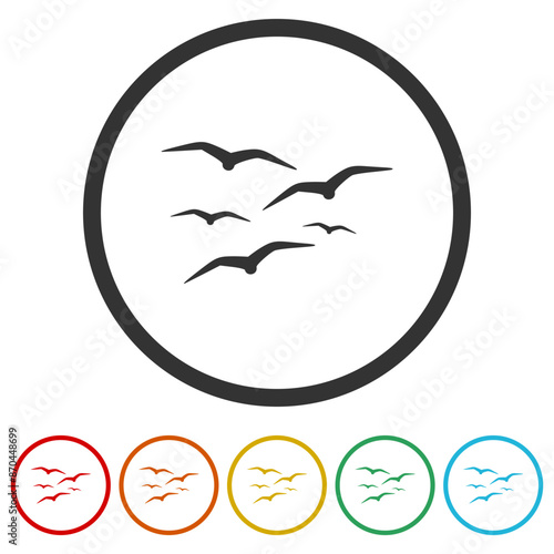 Seagull icon. Set icons in color circle buttons