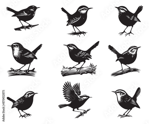 Photography Wren silhouette vector illustration style with white background.