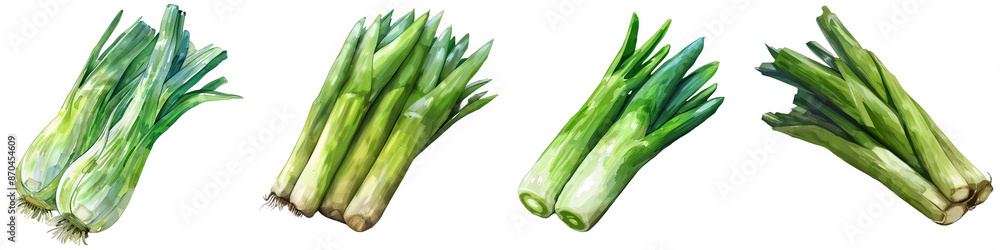 Obraz premium Watercolor Green Onion Bundle Isolated on White Background, PNG File