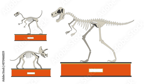 Fossil dinosaurs exhibition 2D linear cartoon objects set. Dino bones skeletons isolated line vector elements white background. Natural history museum exhibits color flat spot illustration collection