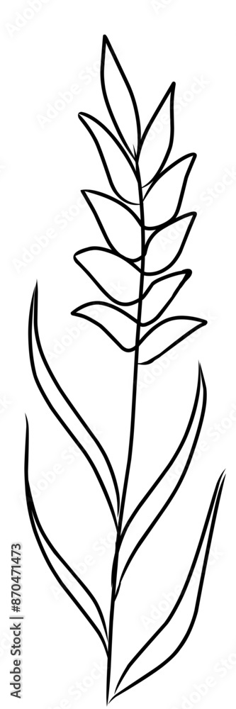 Wildflower illutration for your design Wildflower illutration for your design