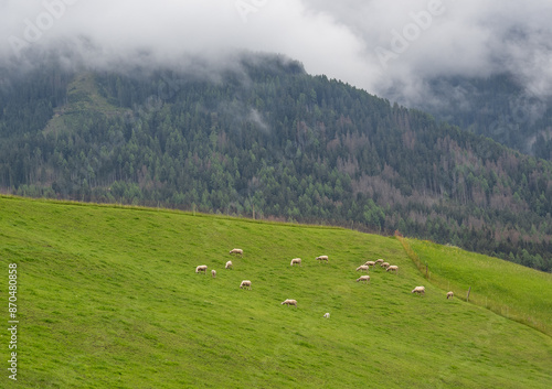 Landscape in Villnoess Valley in South Tyrol