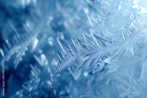 Intricate Macro View of Ice Crystals in Winter Nature - Beautiful Frozen Patterns with Blue Hues photo