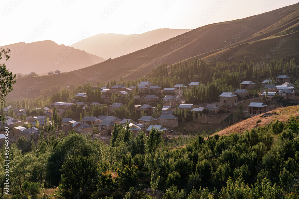 Obraz premium A small town with houses and trees in the background