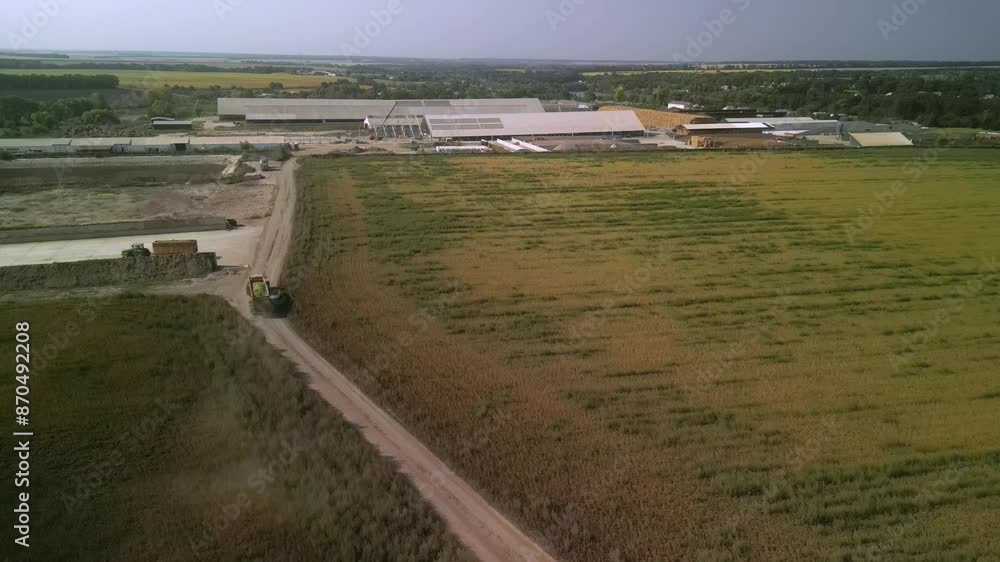 Dairy Farm aerial view. Corn silage packing. Feeding for cows Dairy Farm aerial view. Corn silage packing. Feeding for cows