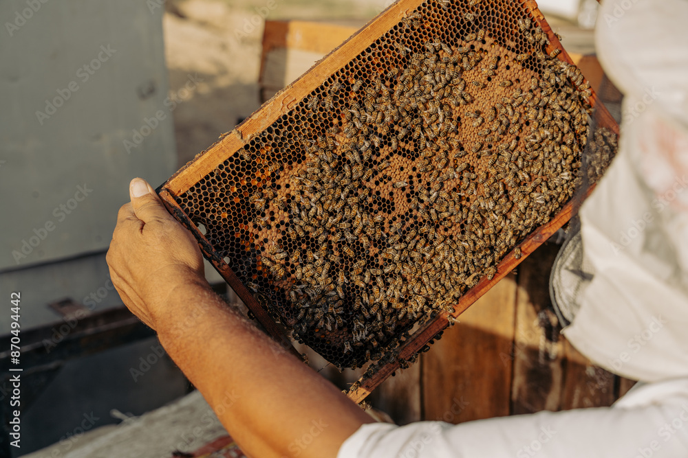 A person is holding a honeycomb with bees on it A person is holding a honeycomb with bees on it