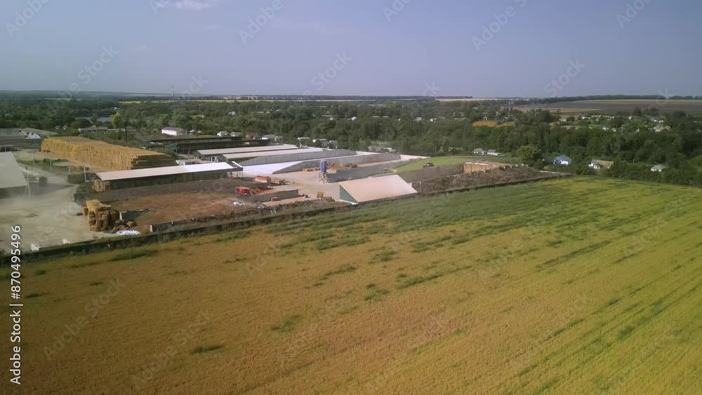 Dairy Farm aerial view. Corn silage packing. Feeding for cows Dairy Farm aerial view. Corn silage packing. Feeding for cows