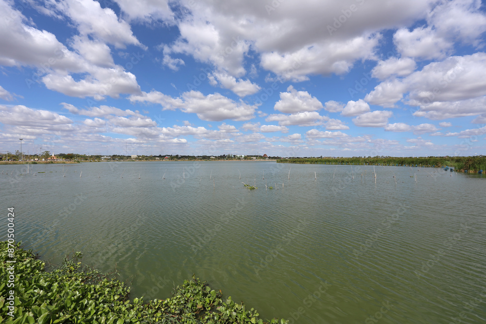 Fototapeta premium The scenery around Bueng Thung Sang has water hyacinths growing along the shore.