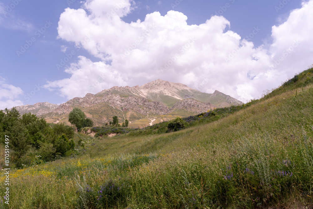 A mountain range with a cloudy sky in the background A mountain range with a cloudy sky in the background