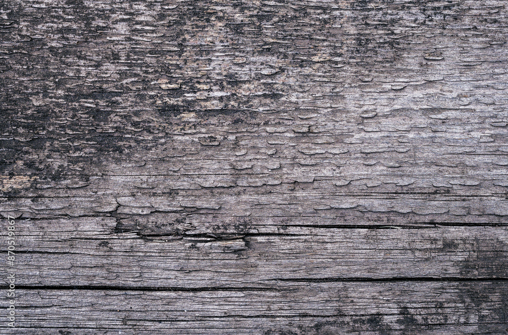 Brown wood texture. Abstract background, empty template Brown wood texture. Abstract background, empty template