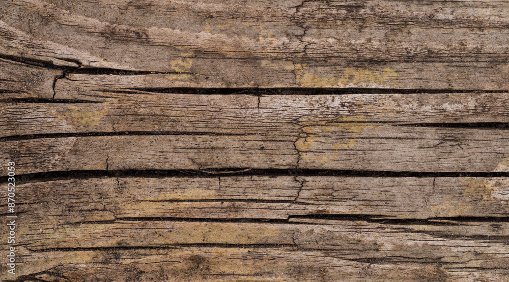 Brown wood texture. Abstract background, empty template Brown wood texture. Abstract background, empty template