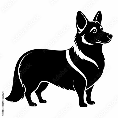 corgi dog ,puppy dog,Dog vector 