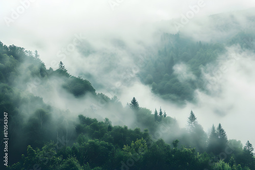 "Mystical High-Elevation Forest: Stunning Mist-Covered Mountains"