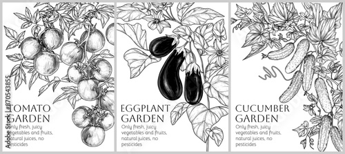 Vector set of 3 banners with vegetables on branches with leaves and flowers. Tomatoes, eggplants, cucumbers