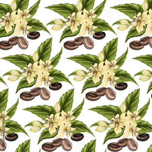 Vector pattern with coffee.Flowers and fruits of the coffee tree in a seamless pattern on a transparent background.
