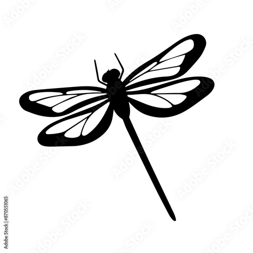 dragonfly isolated on white