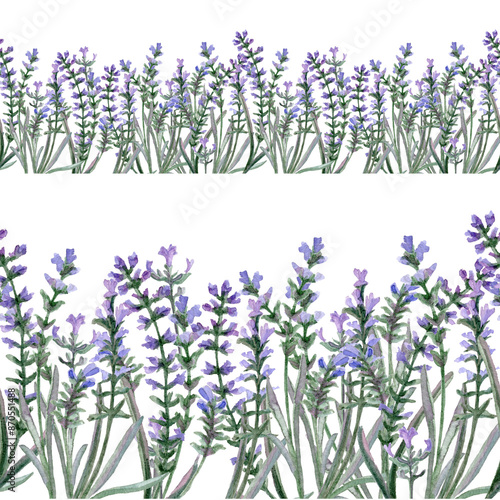 Watercolor hand drawn seamless Border of Lavender flowers photo