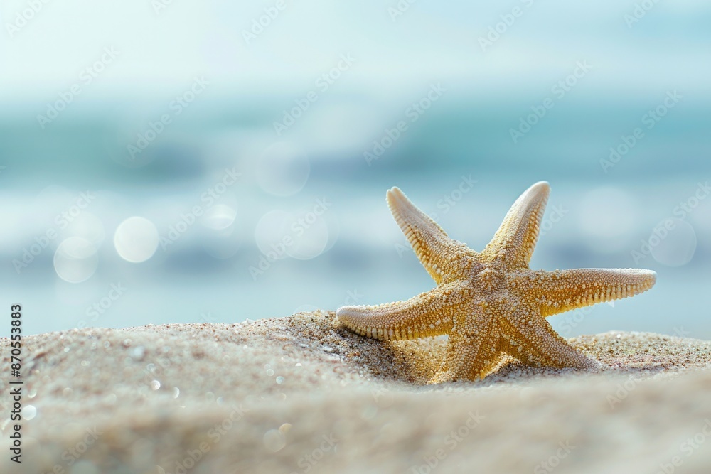 A starfish resting on the sand, with a softly blurred background of beach and rolling waves. A starfish resting on the sand, with a softly blurred background of beach and rolling waves.