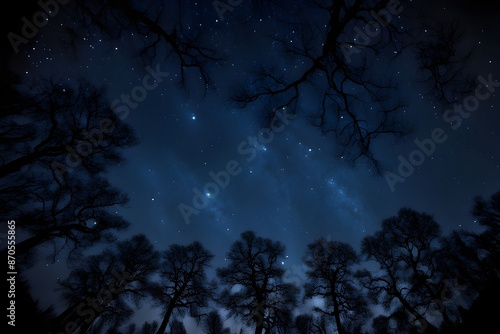 Picture shot towards the sky in the middle of the night, beautiful view with lots of stars © Ajakovski