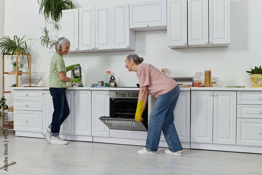 Lesbian couple cleaning together; one of women cleaning oven in modern kitchen. Lesbian couple cleaning together; one of women cleaning oven in modern kitchen.