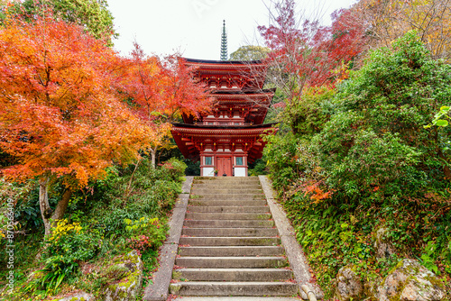 【京都府】木津川市 浄瑠璃寺 (2023/11/29 撮影)