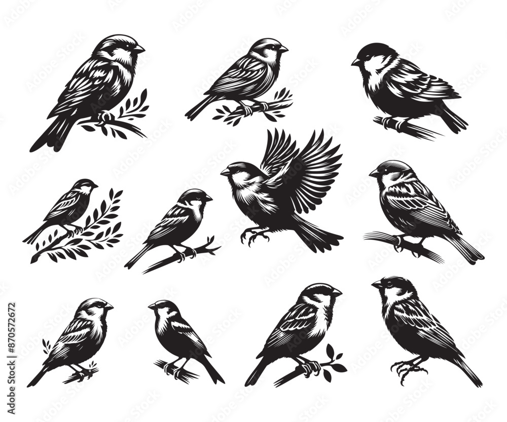 Sparrow silhouette vector illustration style with white background 2nd Sparrow silhouette vector illustration style with white background 2nd