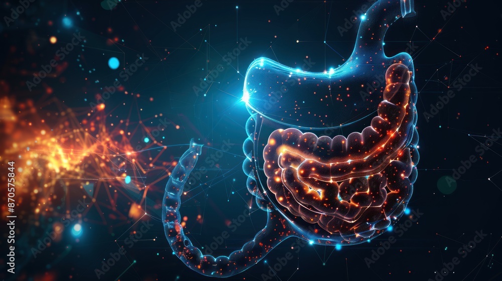 Image of human stomach isolated as 3D hologram. Medical concept. new technology Image of human stomach isolated as 3D hologram. Medical concept. new technology
