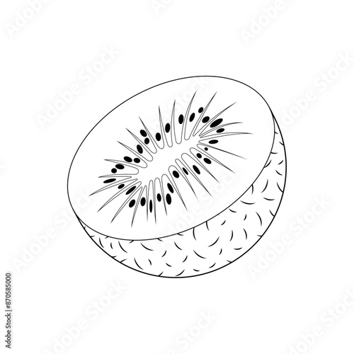 Half kiwi outline with black seeds and textured skin. A vector fruit, isolated on the white background